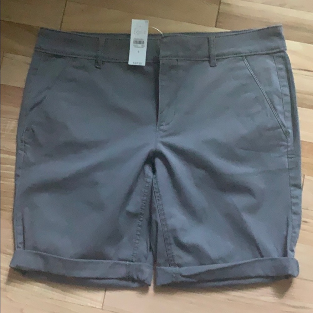 Loft shorts